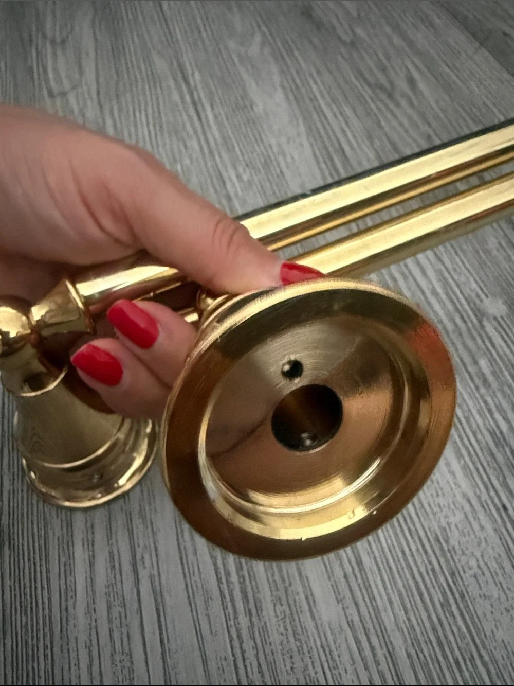 Pottery Barn Polished Brass Towel Bars - Gold Tone Pair